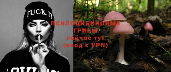 прущий лед Липки