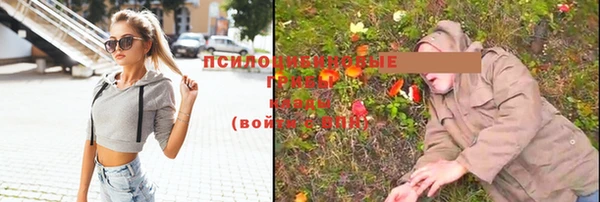 МДПВ Майский