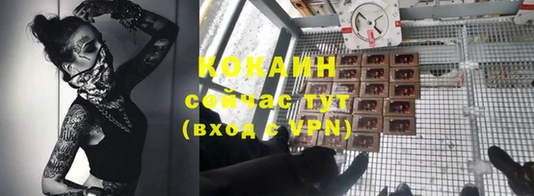 прущий лед Липки