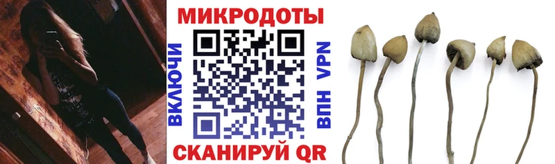 Галлюциногенные грибы мицелий  Томмот 